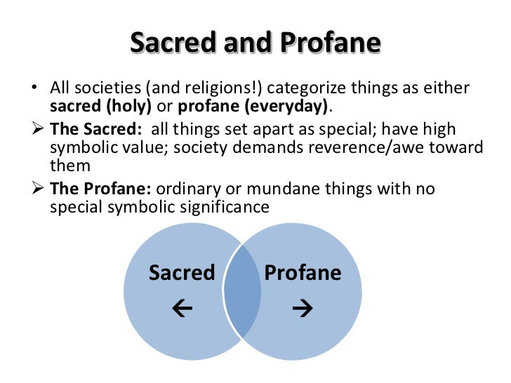 the elementary forms of religious life summary profane religion definition